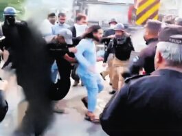 Pic of Activist being carried by Police in Pok