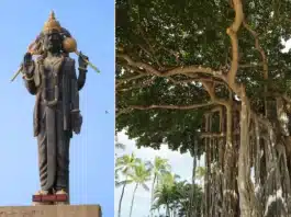 Collage of Shani Deve and Banyan Tree