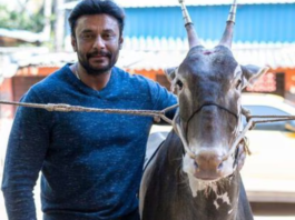 Kannada actor Darshan Thoogudeepa(Instagram/@darshanthoogudeepashrinivas)