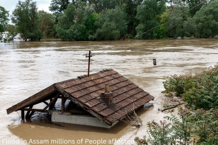 Assam Flood Situation - Humanitarian Crisis Deepens