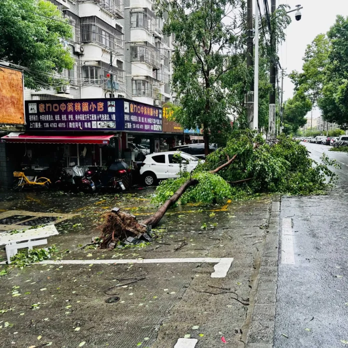 Typhoon Bebinca Strom Hits damages cars , trees Uprotted in China